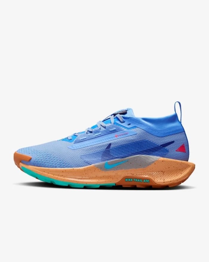 Nike Pegasus Trail 5 GORE-TEX - Imagen 1